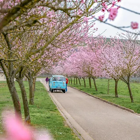 Kunterbunt Ferienhaus Weyher